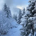 Am Sunne-egge Auf Bei Brienz * Axalp