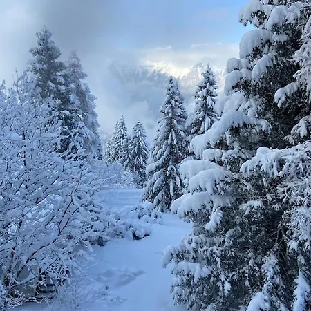Am Sunne-egge Auf Bei Brienz * Axalp