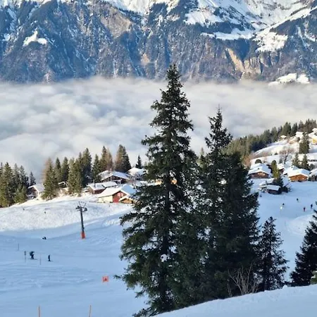 Am Sunne-egge Auf Bei Brienz Axalp