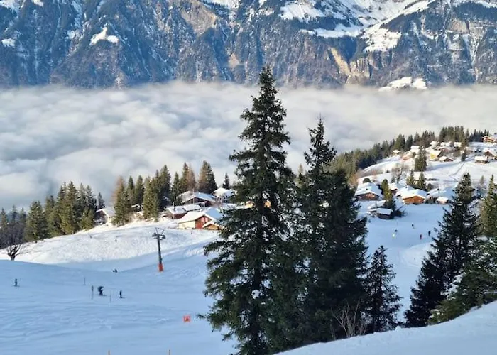 Am Sunne-egge Auf Bei Brienz Axalp