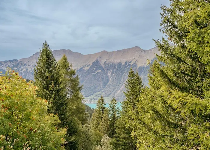 Am Sunne-egge Auf Bei Brienz