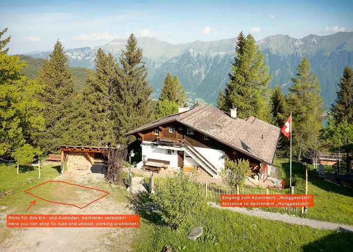 Am Sunne-egge Auf Bei Brienz *